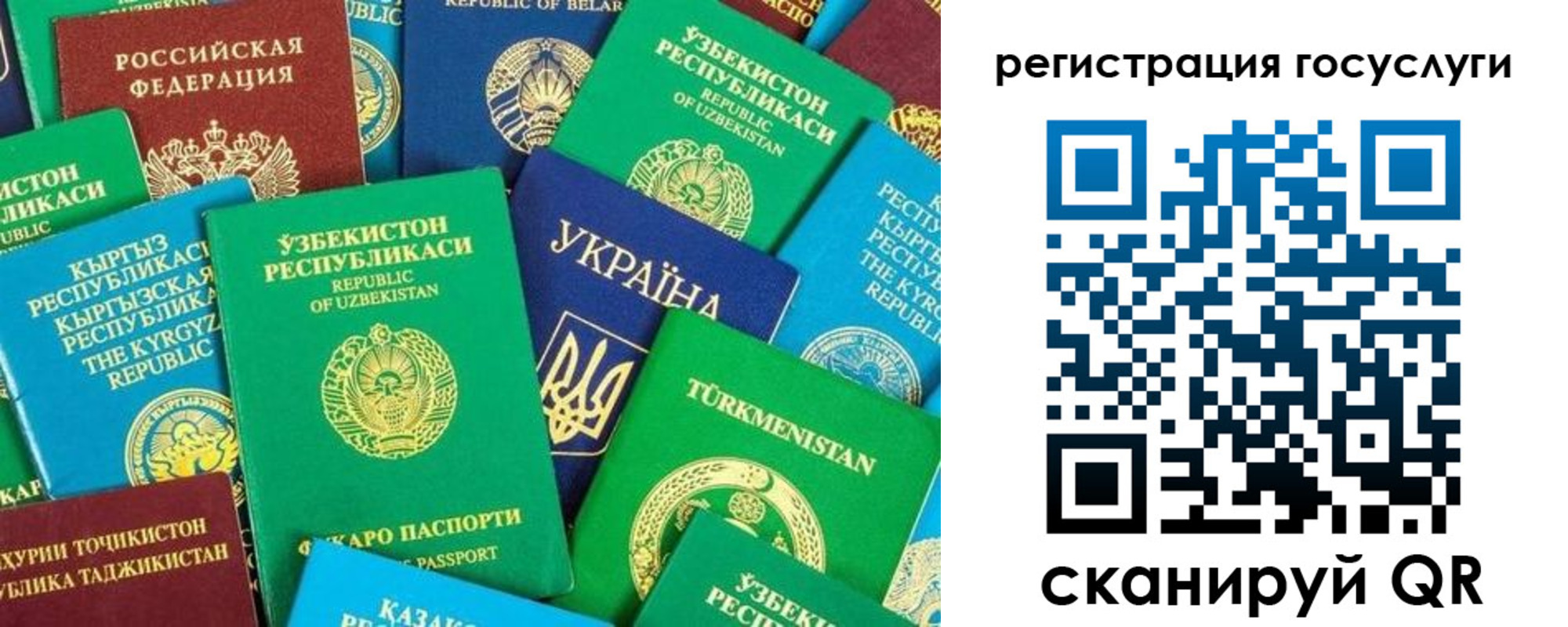 временная регистрация купить в Волгоградской области